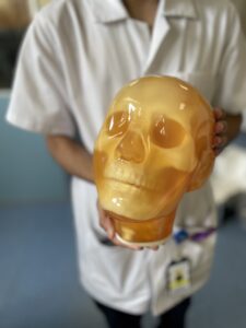 Student radiographer holds the Phantom's head