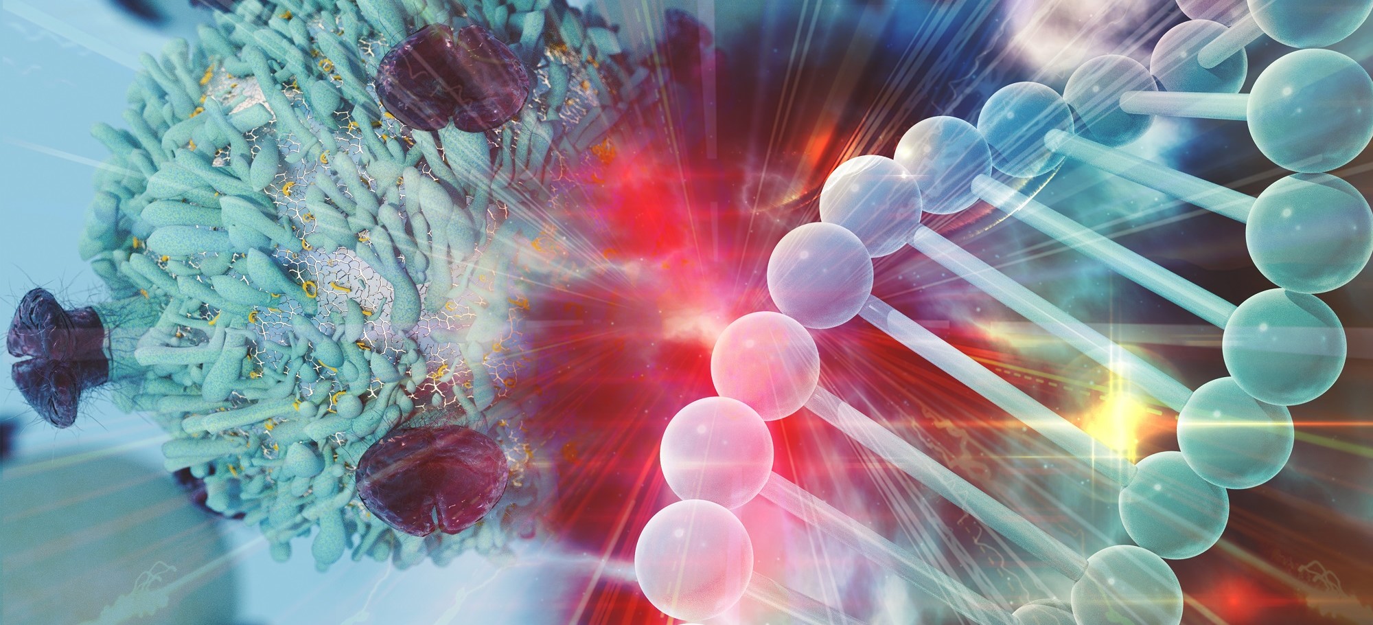 Introduction to precision medicine for cancer