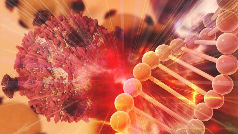 Concept illustration for Gene,Therapy,For,Cancer,Treatment,Concept,Cancer,Therapy,With,T-cell